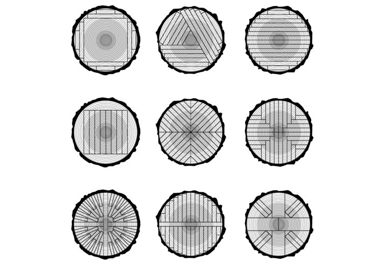 cuts of trees with different appearances