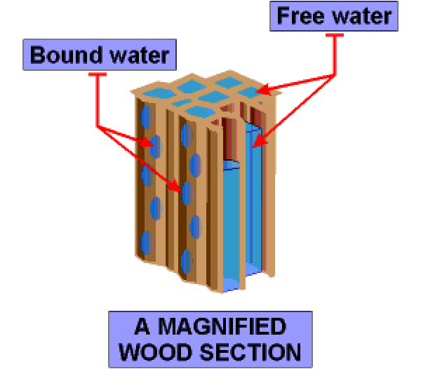 Bound water and free water in wood.